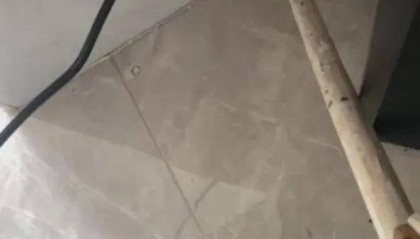 广州一小区2年抓到超60条蛇？业主：家里来过两三条，物业回应