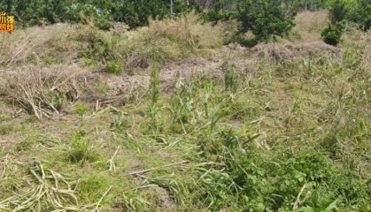 “被偷光了！”浙江有人报警，民警上门一看惊呆：整整100多斤…