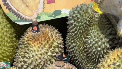 “贵族水果”榴莲进入“1”字头时代,国庆中秋或将提价|消费观察