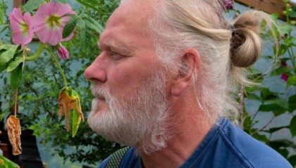 两只雌蚊和一只雄蚊被发现，全球最后一个无蚊国冰岛“沦陷”