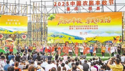 欢庆丰收节