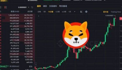 柴犬币暴拉100%!SHIB跃居10大加密货币,迷因力量超车AVAX、DOT