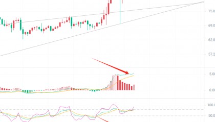 币圈院士：2024.3.11莱特币（LTC）最新行情分析参考
