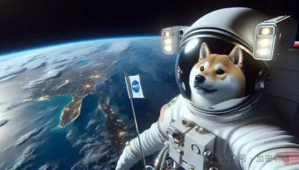 基于比特币的模因币 DOG-GO-TO-THE-MOON 上涨 20%,前景如何?