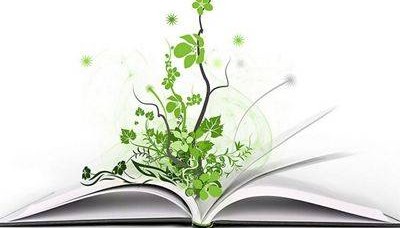 出版权和发行权有什么区别