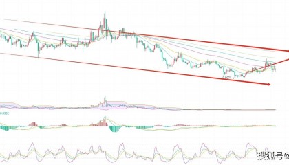 柚子币(EOS)为何值得长期持有?币圈院士谈:老牌币种的新机遇潜力与挑战