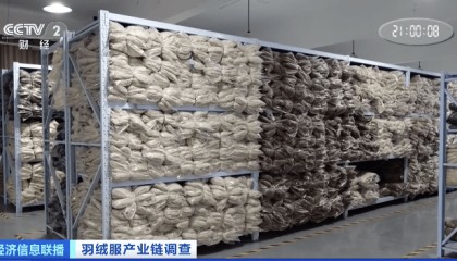 羽绒服,价格大涨!“去年卖300元的,今年打折都要438元”!业内:猪肉价格较低影响鸭鹅肉需求,鸭鹅养殖减少,致绒毛涨价