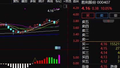 复牌涨停！封单超155万手，000407重大资产重组预案曝光