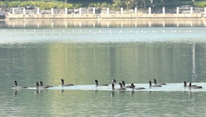 冷空气即将抵达广西！还有降雨+大风