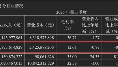 医保违规，加盟遇冷，老百姓大药房陷生存多重困局