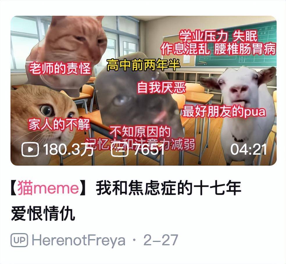 日本猫meme爆火，越南厂商进军猫meme手游，盘点猫meme极品素材