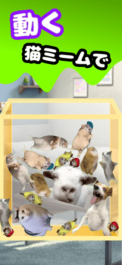 日本猫meme爆火，越南厂商进军猫meme手游，盘点猫meme极品素材