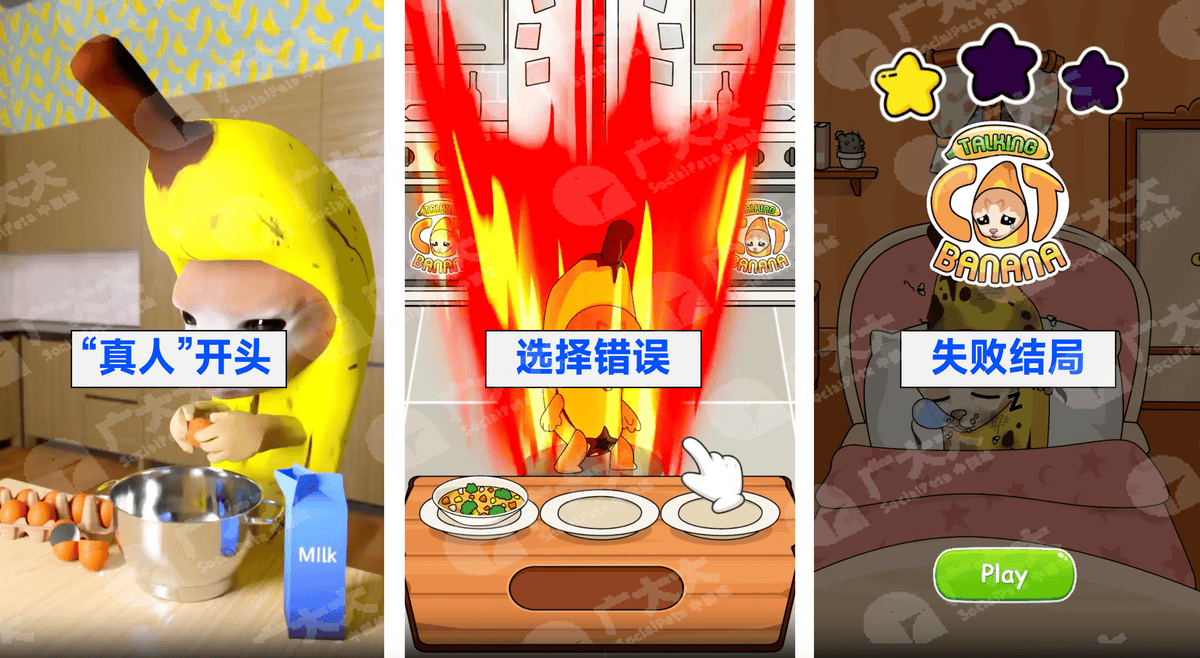 日本猫meme爆火，越南厂商进军猫meme手游，盘点猫meme极品素材