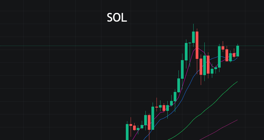 SOL冲击200，山寨币巧借东风