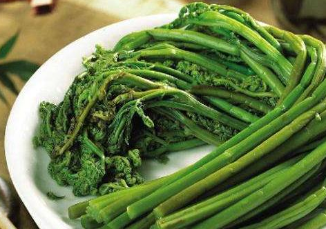 地里的这些野菜不仅好吃，还有这么大的药用价值，你知道吗？
