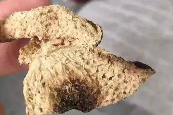 新会陈皮为什么会出现“烧皮”？“烧皮”后的陈皮还有收藏价值吗？