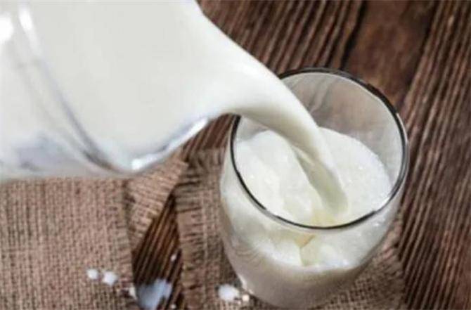哪个地方产的骆驼奶最好？正宗的驼奶在哪里买？