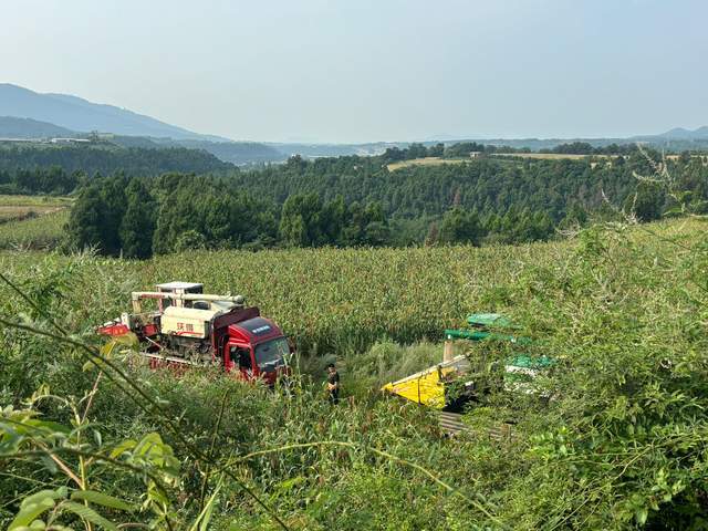 四川梓潼：荒山荒坡高粱熟 农户增收笑开颜