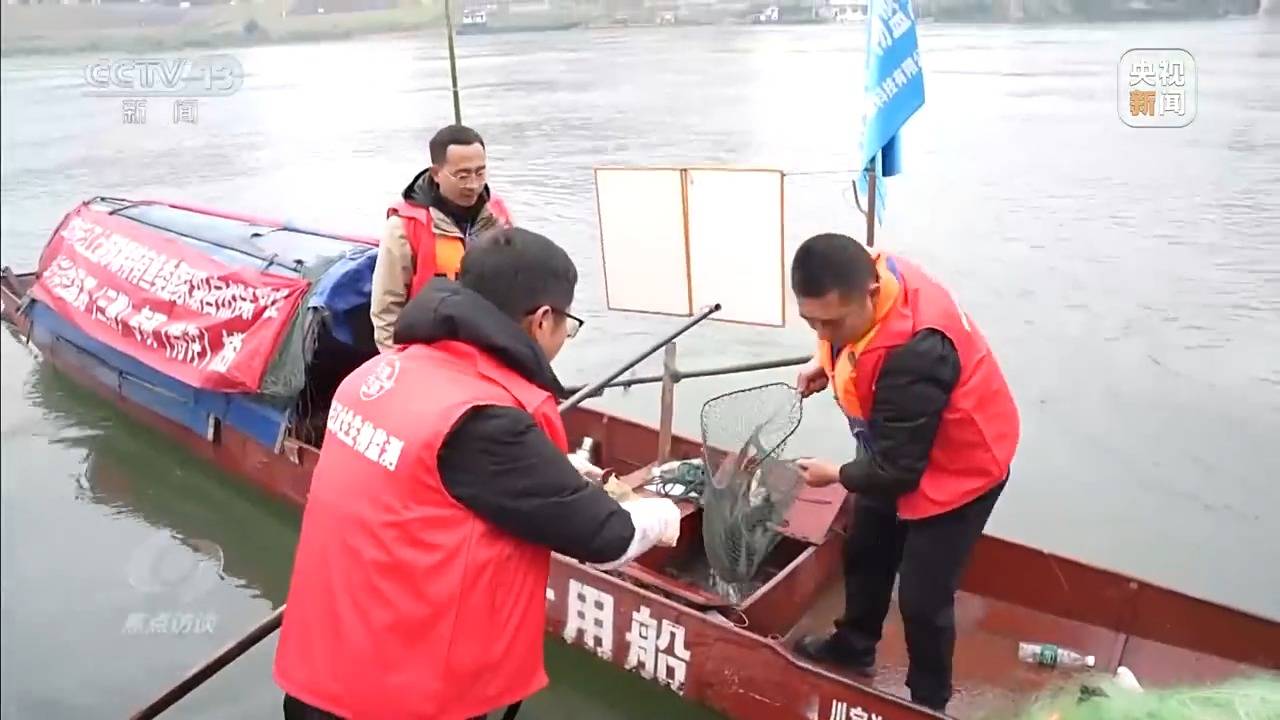 焦点访谈丨新时代长江之歌 十年守护见证绿色蝶变