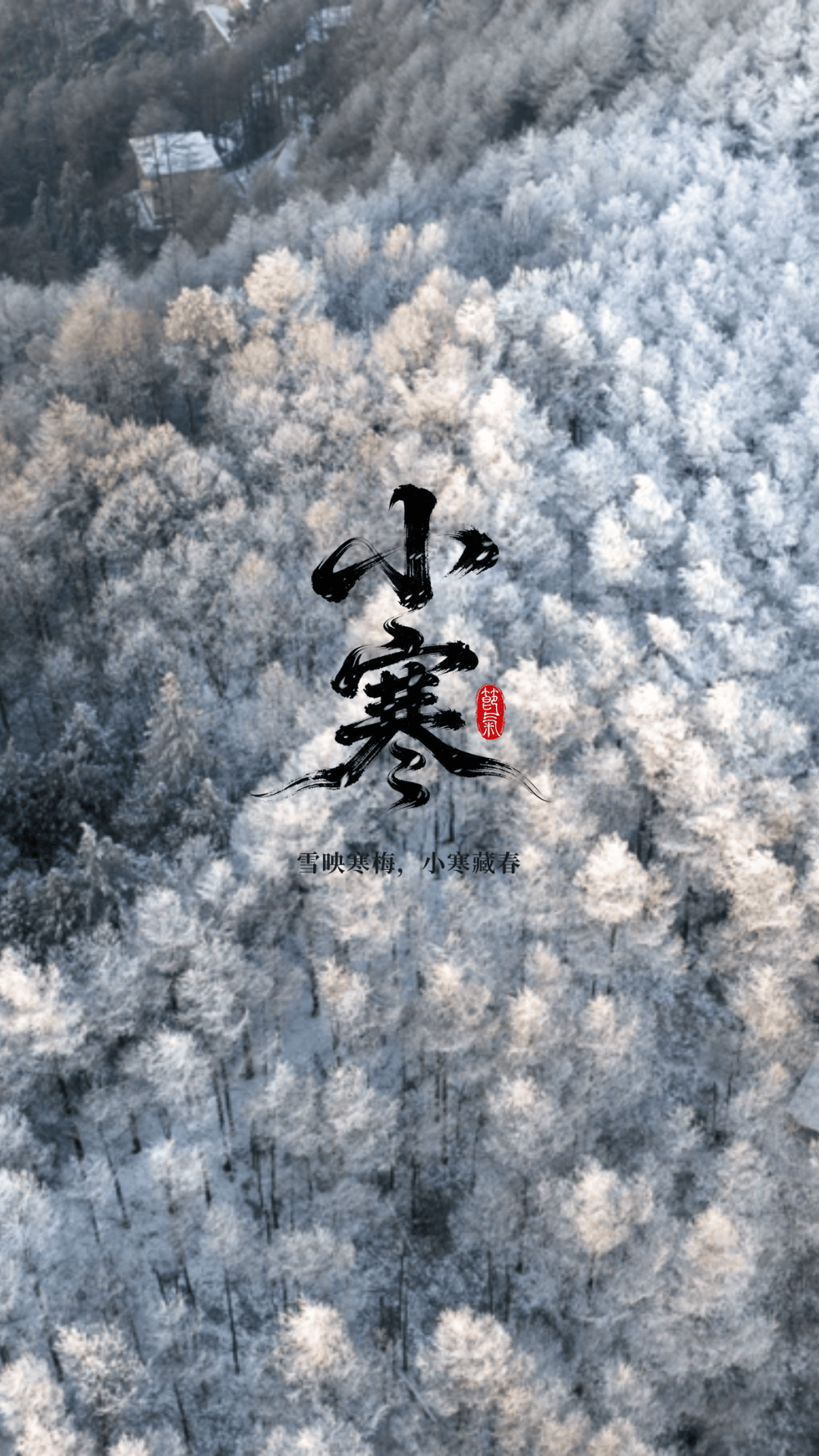 今日小寒，吃点暖的！