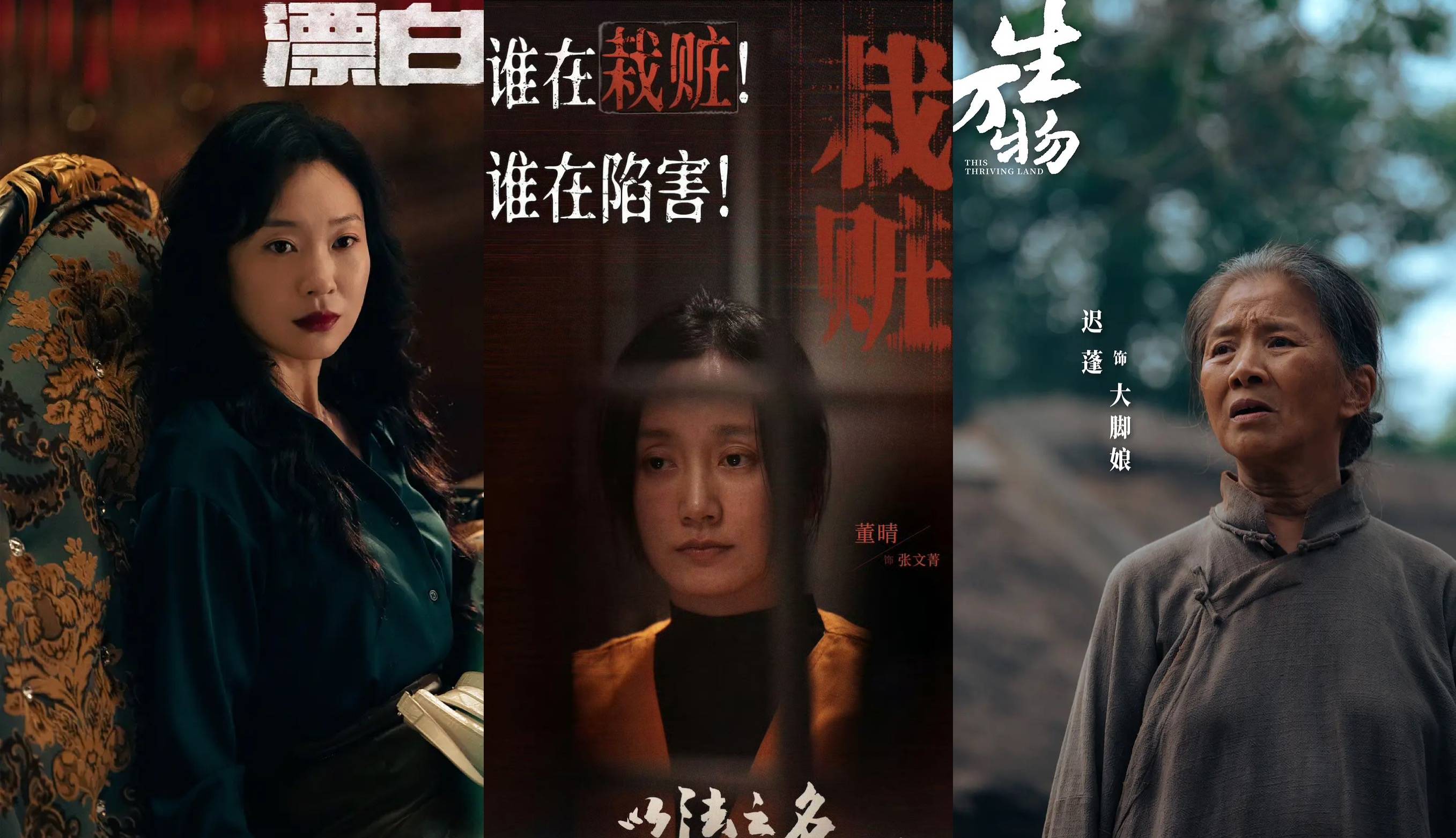 年终策划|《生万物》捧不红迟蓬、《以法之名》爆不了董晴，2025配角迎来“上桌危机”