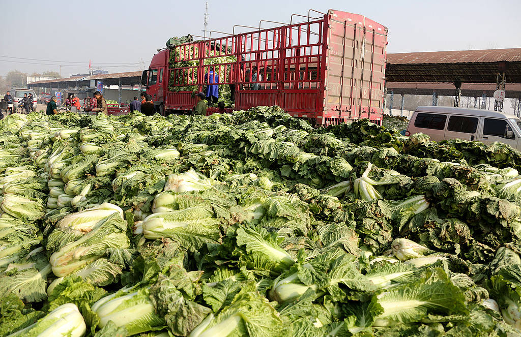 大白菜蘸甲醛只为省2000块运费?监管漏洞该补上了
